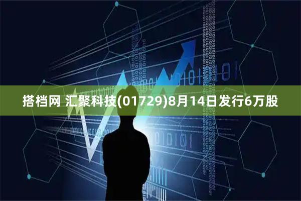 搭档网 汇聚科技(01729)8月14日发行6万股