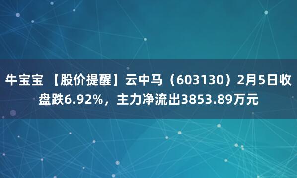 牛宝宝 【股价提醒】云中马（603130）2月5日收盘跌6.92%，主力净流出3853.89万元