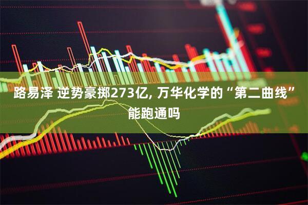 路易泽 逆势豪掷273亿, 万华化学的“第二曲线”能跑通吗