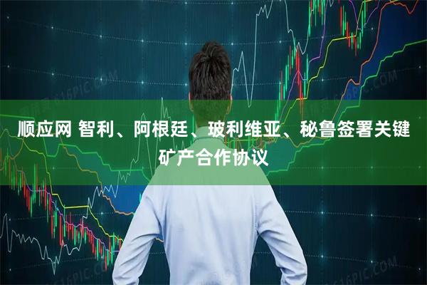 顺应网 智利、阿根廷、玻利维亚、秘鲁签署关键矿产合作协议